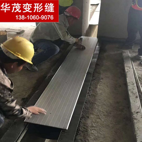 地面不銹鋼伸縮縫蓋板價格 一米也是***